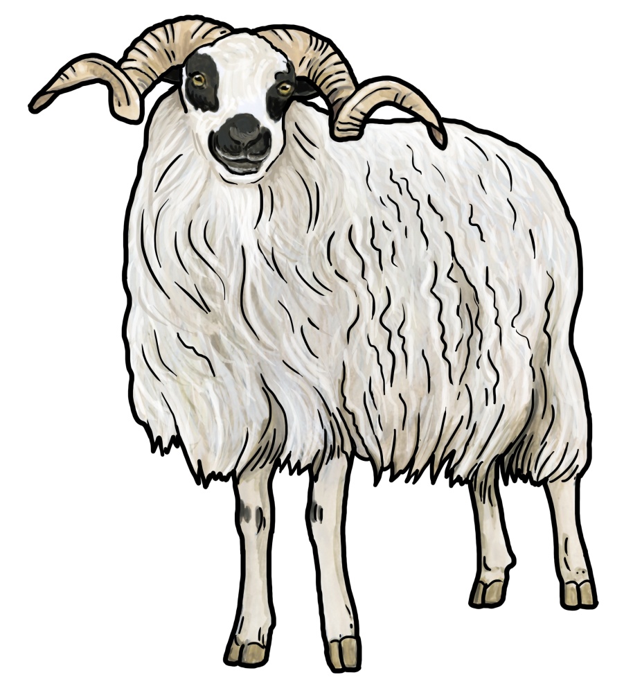 Ilustrace: Ivana Hanzlíková