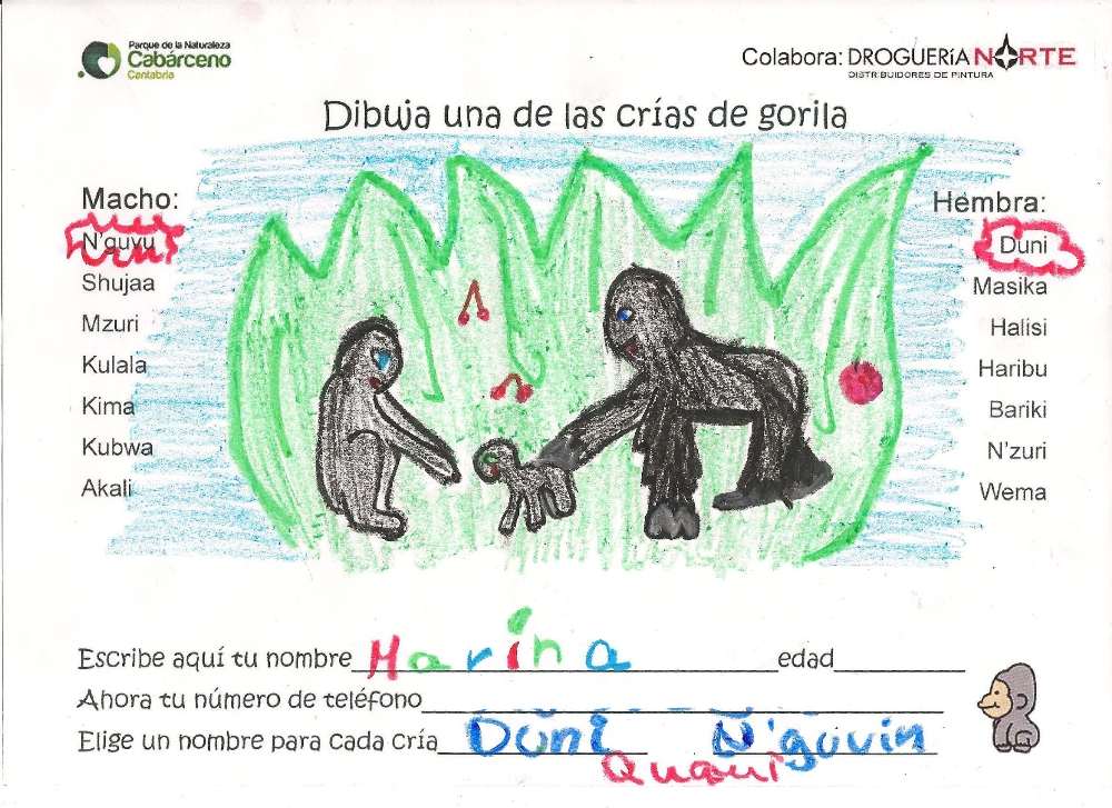 Vítězná kresba se jménem pro mládě Moji (zdroj: Park Cabárceno)