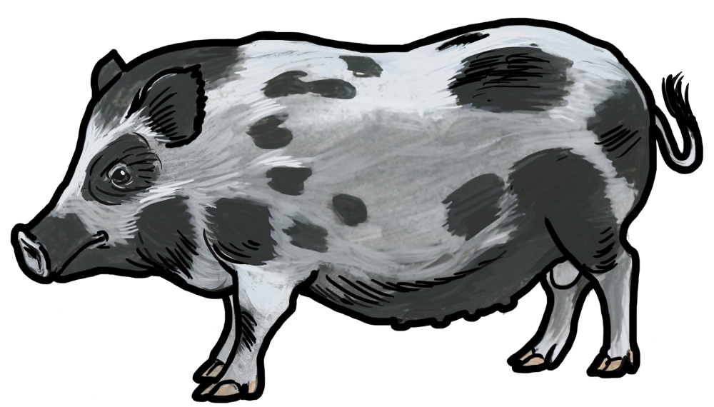 Ilustrace: Ivana Hanzlíková