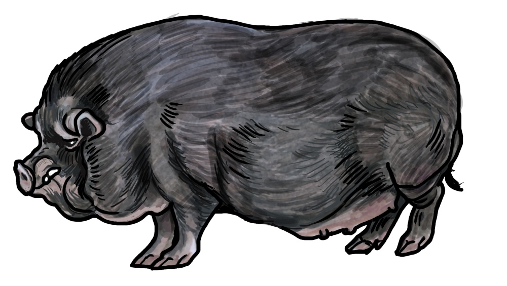 Ilustrace: Ivana Hanzlíková Ilustrace: Ivana Hanzlíková