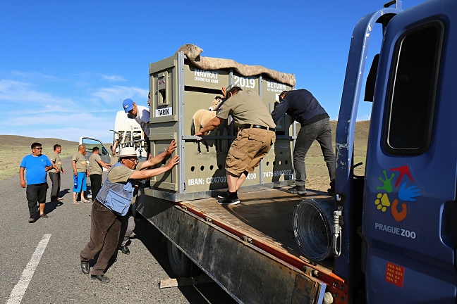 Even in Mongolia we encountered some difficulties. One of the trucks broke down on the way to Takhin, so Tárik and Tara had to be transferred to the spare. 