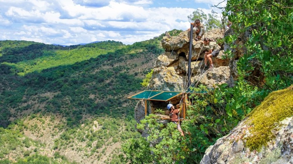 Placing of vultures on an artificial nest in eastern Rhodopes in August 2018. Photo: Sabina Rašková, Prague Zoo