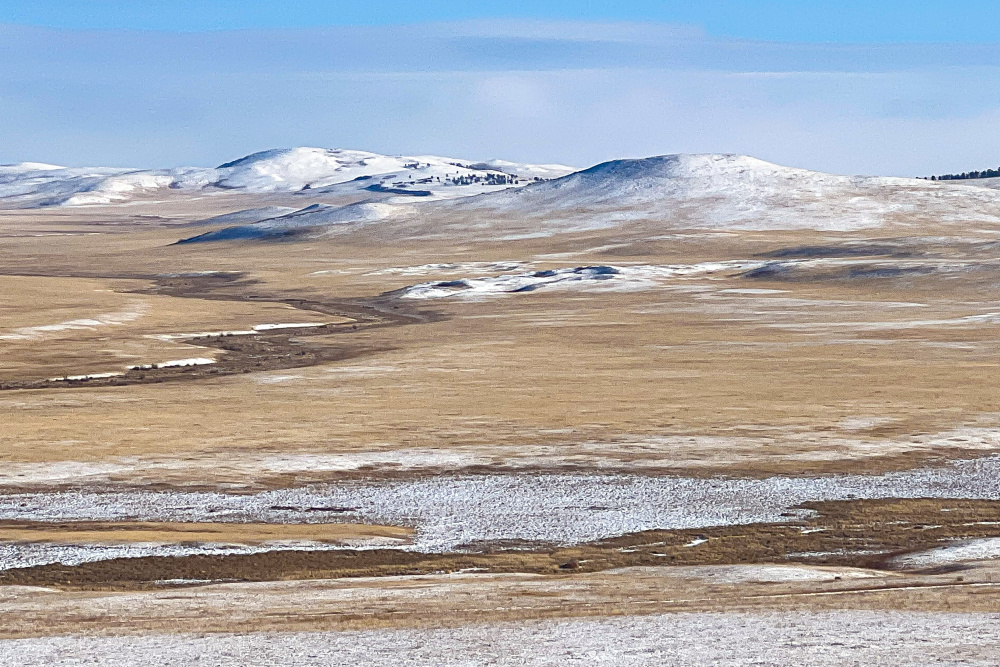 Výhled do krajiny na východě Mongolska, kam plánujeme reintrodukovat koně Převalského. Foto Miroslav Bobek