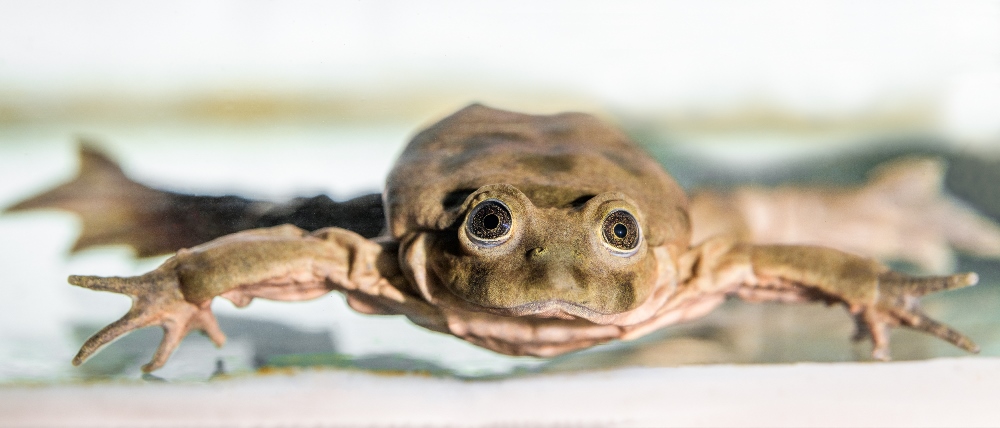 Foto: Petr Hamerník, Zoo Praha