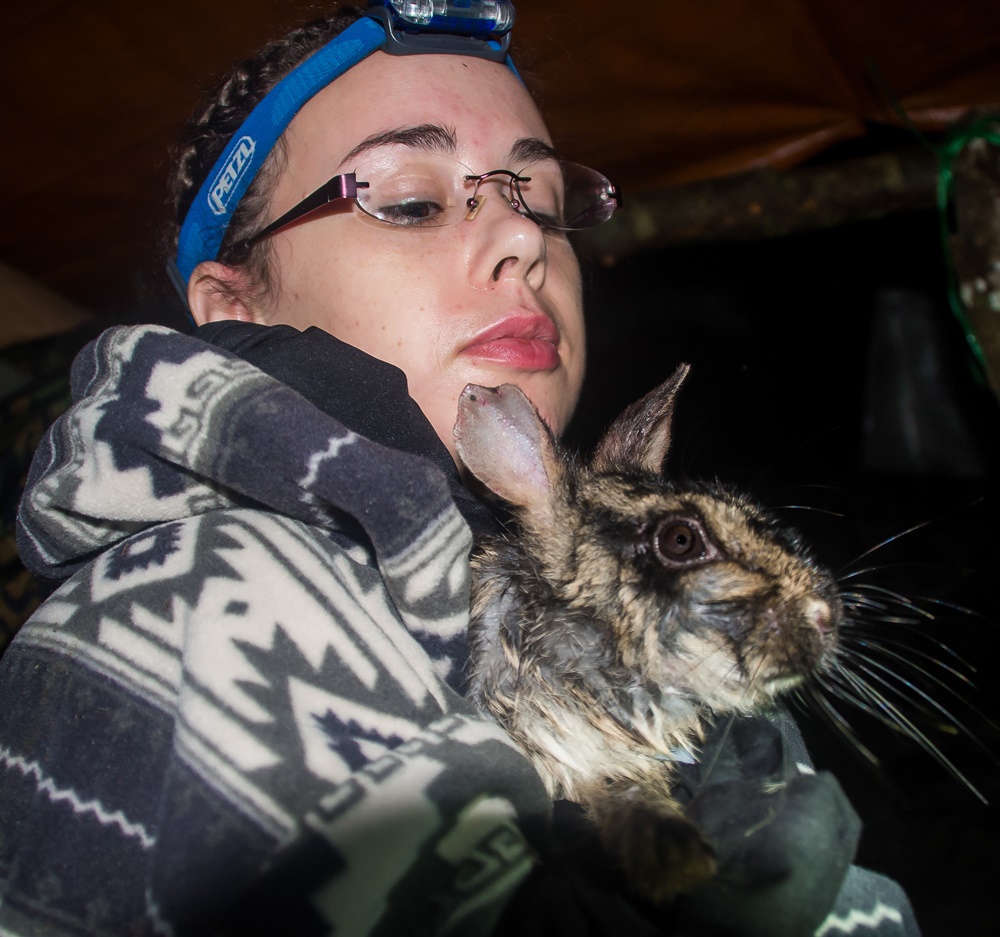 Sarah Woodfin became the first expert to hold a living Annamite striped rabbit. Credit: Sarah Woodfin, University of East Anglia