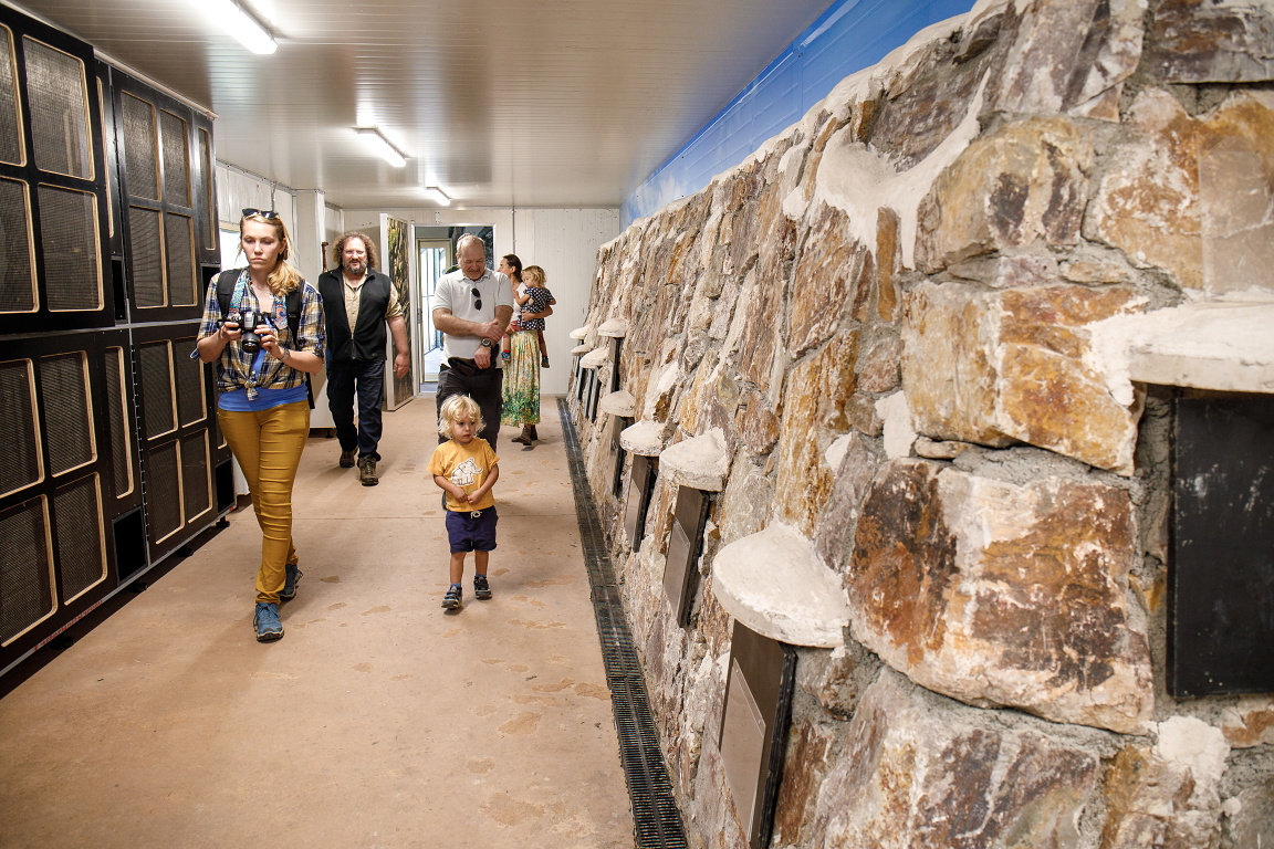 Interior of the breeding station for Mountain Pygmy-possums. Photo by Miroslav Bobek