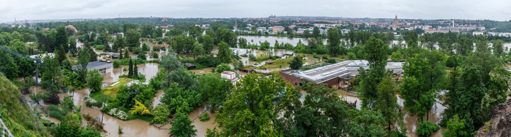 Areál Zoo Praha při povodni 2013. Foto: Miroslav Bobek