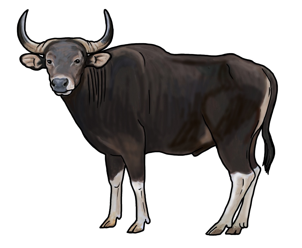 Ilustrace: Ivana Hanzlíková