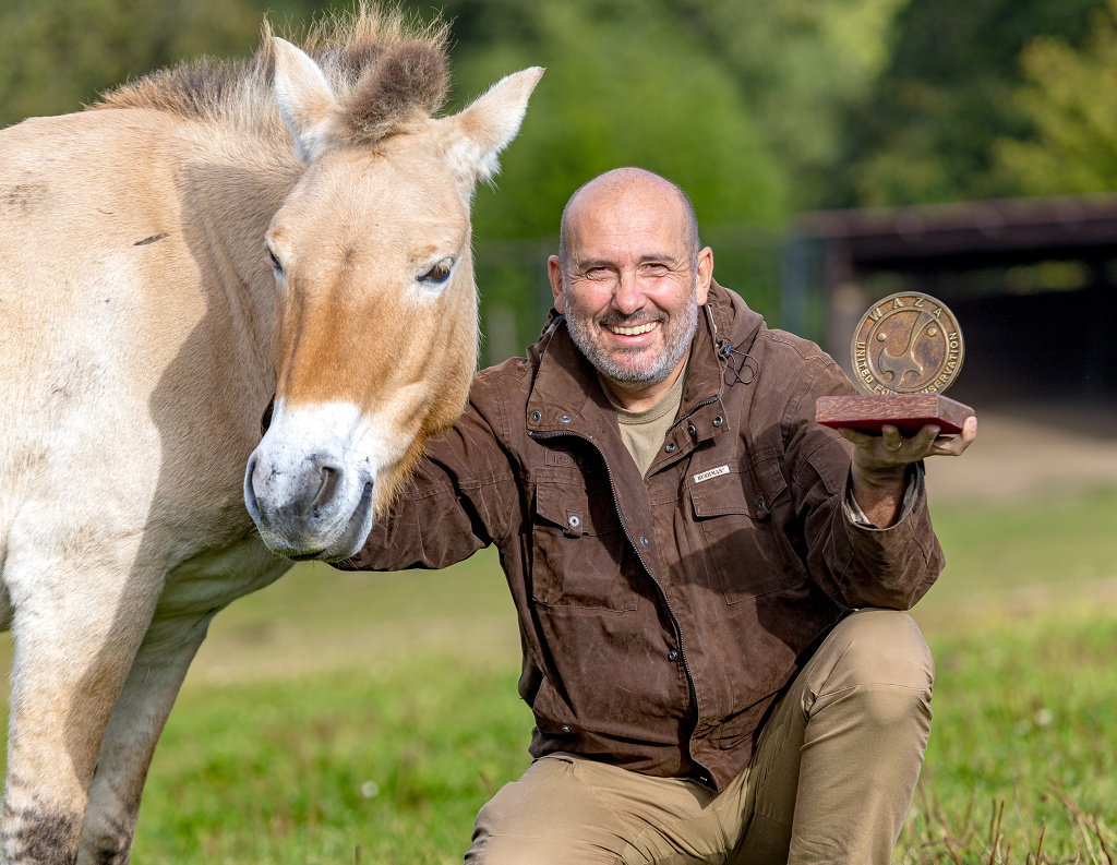 Zoo Praha získala nejvyšší ocenění WAZA Conservation Award za svůj dlouholetý přínos v záchraně koně Převalského. Do Mongolska se již v rámci českých transportů podařilo přepravit třicet čtyři koní. Na fotografii s oceněním ředitel Zoo Praha Miroslav Bobek. Foto: Monika Dolejšová, Zoo Praha 