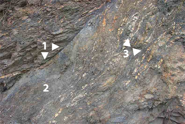 (1) PŘESMYK, (2) DRCENÉ PÁSMO, (3) KŘEMENNÉ ŽILKY A ČOČKY