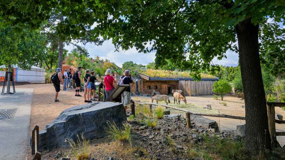 Expozice Gobi, foto: Petr Hamerník, Zoo Praha Expozice Gobi, foto: Petr Hamerník, Zoo Praha
