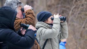 Photo: Petr Hamerník, Prague Zoo
