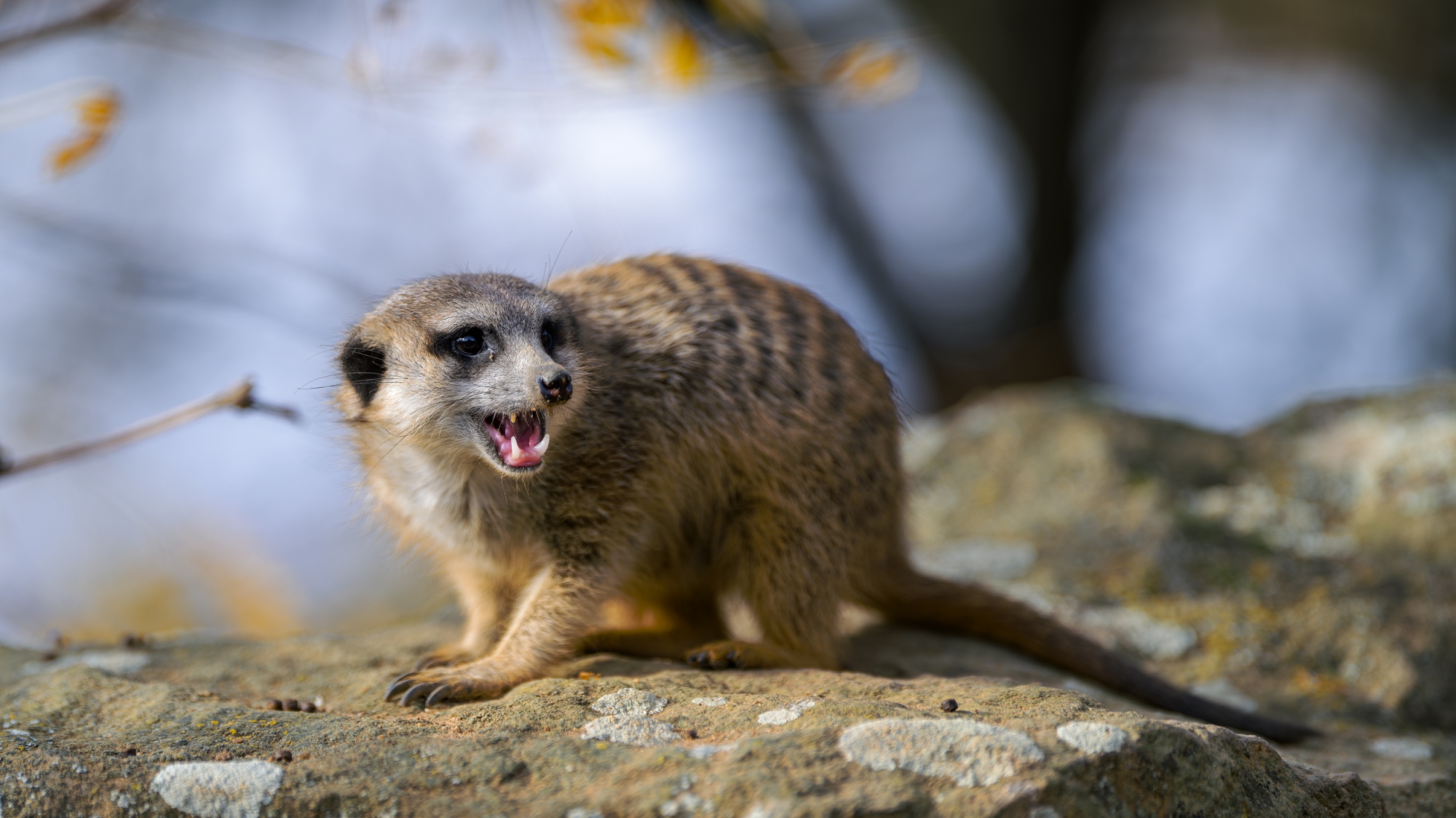 Foto: Petr Hamerník, Zoo Praha