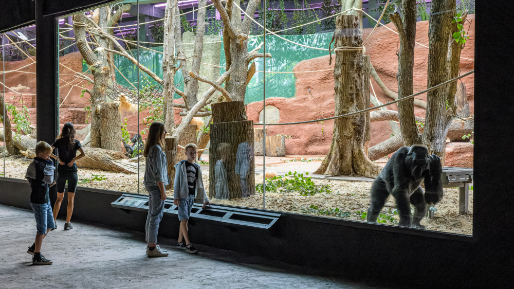 Foto: Petr Hamerník, Zoo Praha