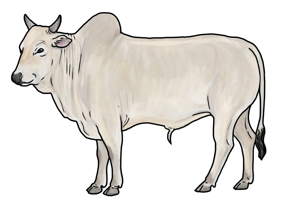 Ilustrace: Ivana Hanzlíková