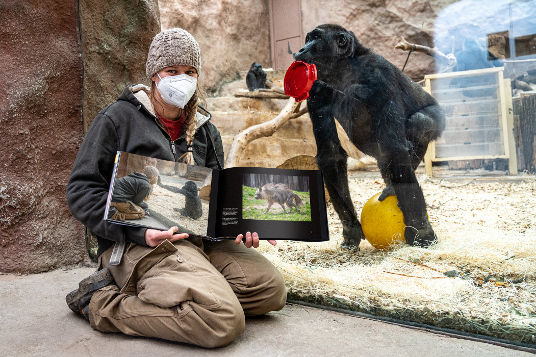 Смотрители приняли участия в рекламной кампании книги «Притихший зоопарк». На снимке Луцие Голатова. Фото Оливер Ле Ку