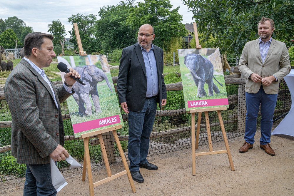 Letošní sloní samičky v Zoo Praha pokřtili (zleva) státní tajemník Ministerstva zahraničních věcí ČR Miloslav Stašek, ředitel Zoo Praha Miroslav Bobek a předseda představenstva a generální ředitel Komerční banky Jan Juchelka. Foto: Petr Hamerník, Zoo Praha.