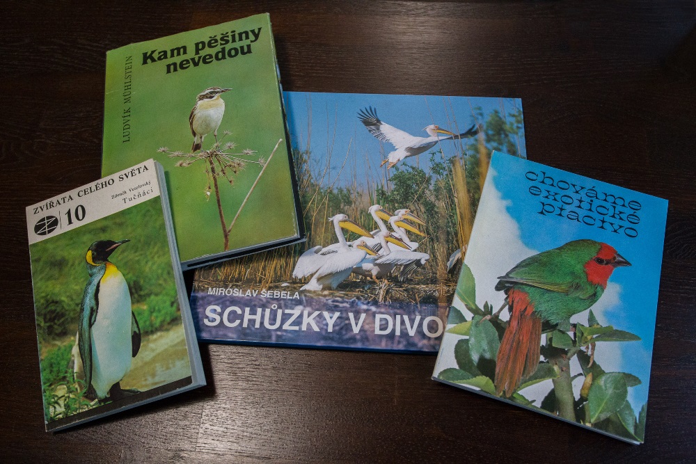 Těsně před rozsvícením vánočního stromu Zoo Praha v neděli zahájí provoz nové knihobudky určené pro knihy o zvířatech či přírodě. Foto: Tereza Mrhálková, Zoo Praha.