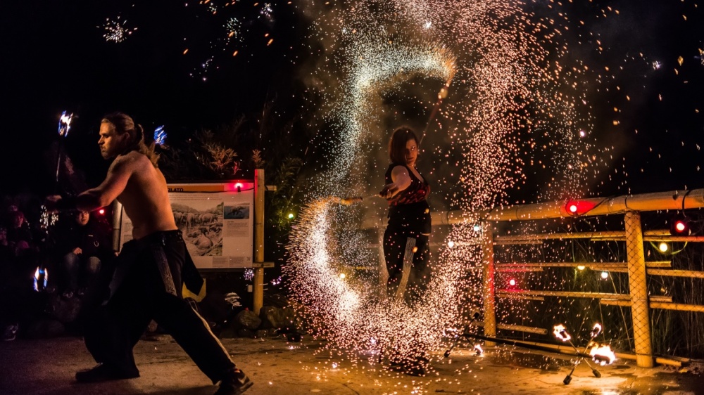 Světelná show, foto: Petr Hamerník, Zoo Praha