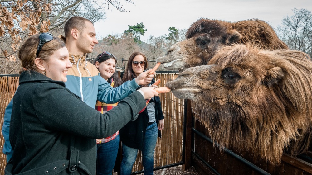 Photo: Archiv Prague Zoo