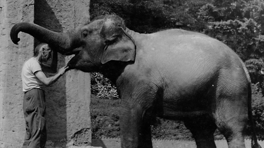 Gulab v roce 1966. Foto: Archiv E. Poláčková.