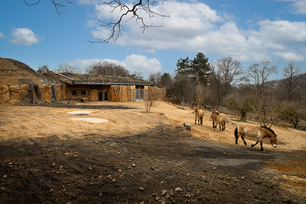 Foto: Tereza Mrhálková, Zoo Praha