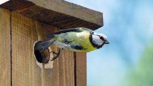 Photo: Martin Smrček