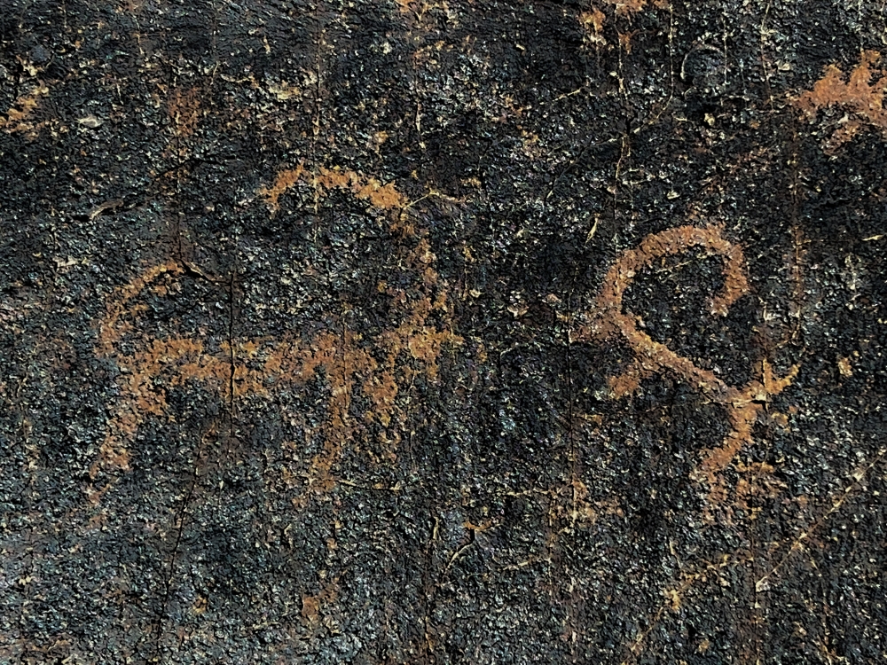 Detailní výřez petroglyfů zobrazujících kozorožce. Foto: Miroslav Bobek, Zoo Praha