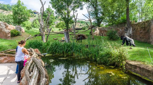 Foto: Petr Hamerník, Zoo Praha