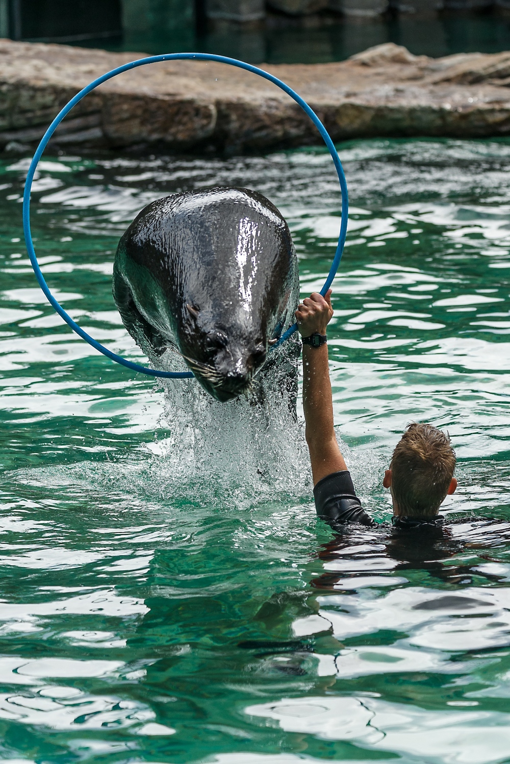 Společné cvičení přímo v bazénu Melouna moc baví. Foto: Petr Hamerník, Zoo Praha