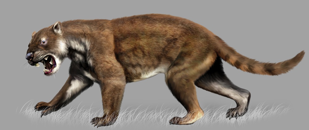 Thylacoleo carnifex (c) Jan Sovák