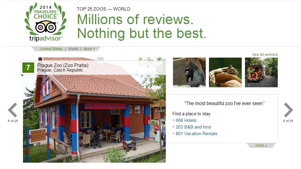www.tripadvisor.com