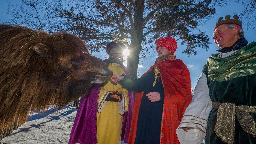 Foto: Petr Hamerník, Zoo Praha