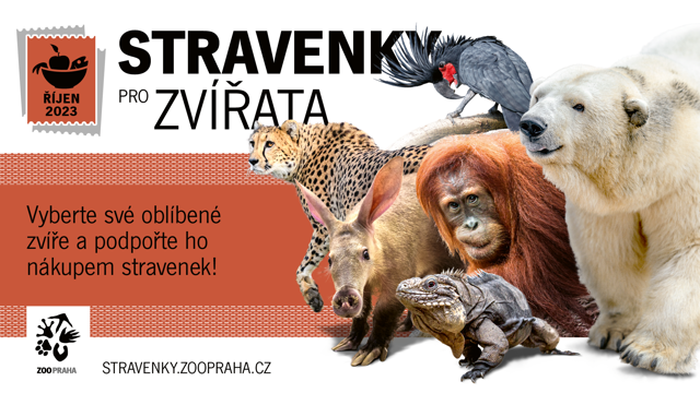 2020 147 Stravenky HL vizual HD 202310