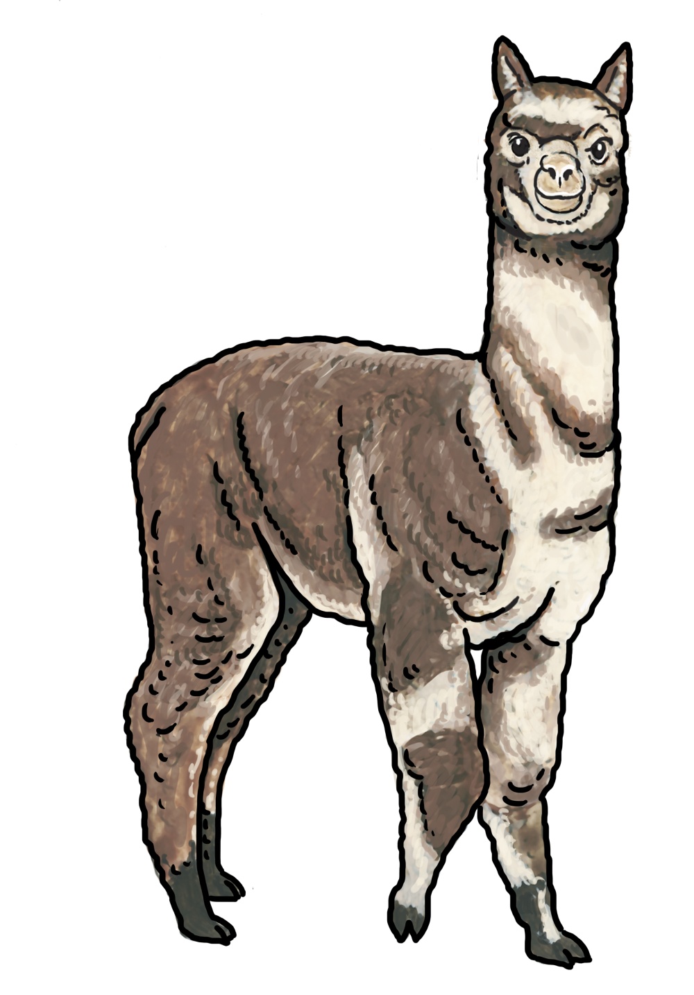 Illustration: Ivana Hanzlíková