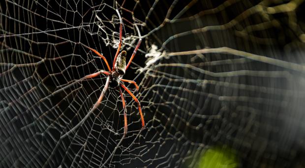 Foto: Petr Hamerník, Zoo Praha