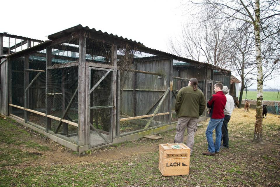 Zoologové u voliér v Haringsee. Foto: Tomáš Adamec, Zoo Praha