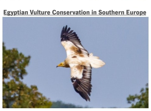 Pomahame zachrana supa EN 