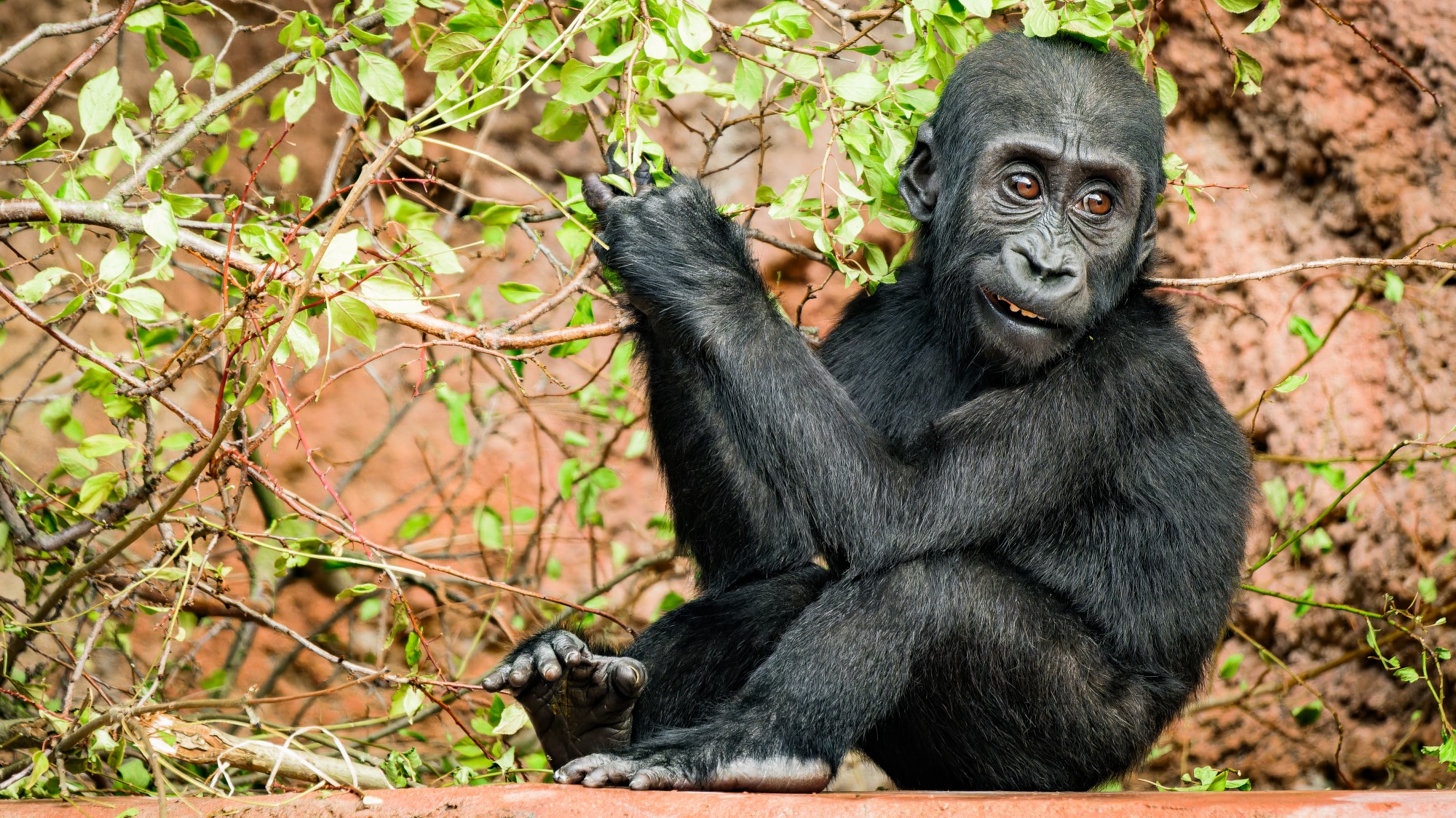 Foto: Petr Hamerník, Zoo Praha