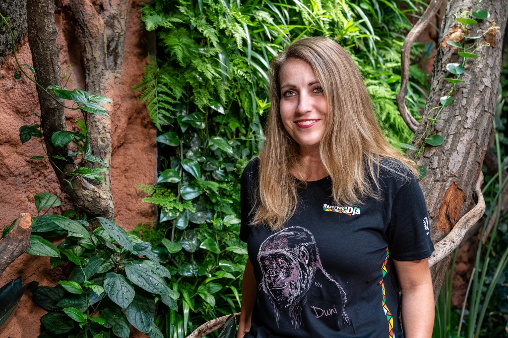 V e-shopu Zoo Praha si můžete pořídit například tričko s motivem gorilí samice Duni. Foto: Petr Hamerník, Zoo Praha