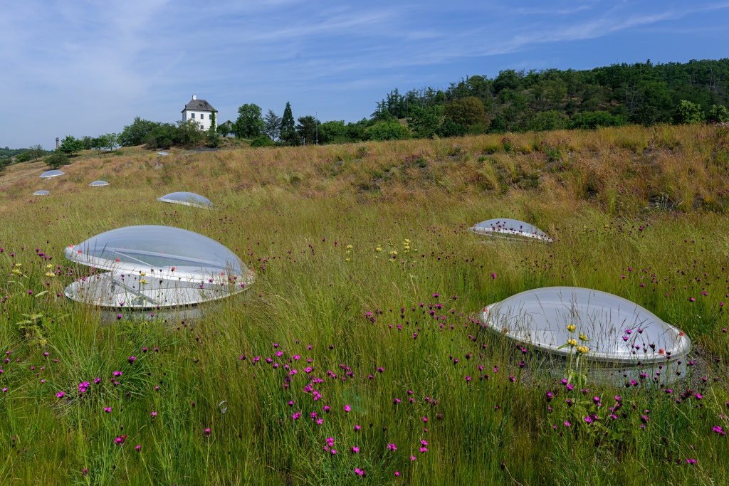 Prostorově velkorysá stavba je citlivě zasazena do terénu a neruší pohled na Sklenářku. Střecha pavilonu je bohatě osázena vegetací. Foto: Petr Hamerník, Zoo Praha