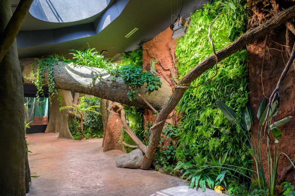 Dobrodružný průchod pod padlým kmenem se bude jistě líbit nejen dětem. Foto: Petr Hamerník, Zoo Praha