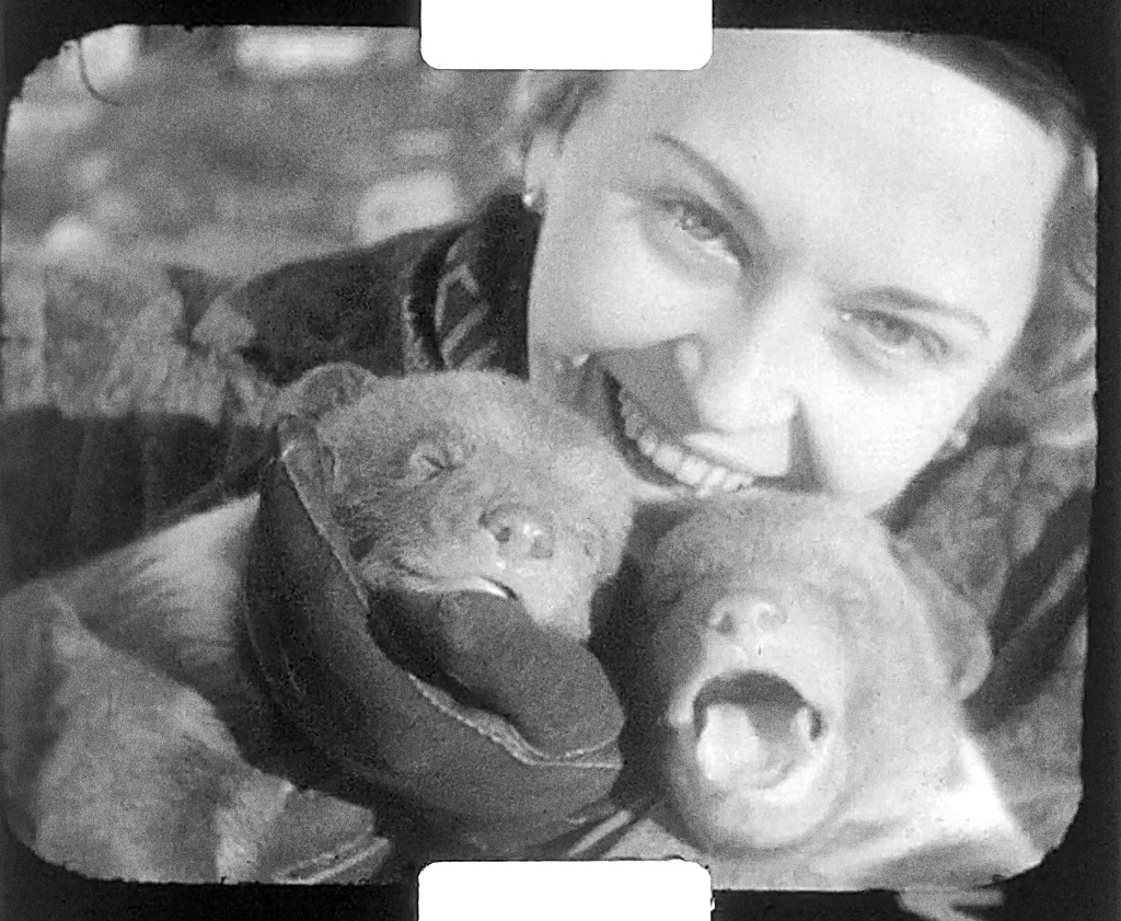 Slavná prvorepubliková herečka Zita Kabátová se nechala natočit s medvíďaty. Zdroj: Sbírka Rakouského filmového muzea