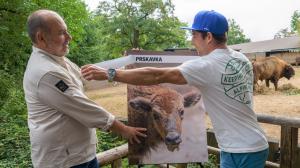 Odhalení jména nejmladšího přírůstku ve stádě zubrů v Zoo Praha se společnými silami zhostili ředitel Zoo Praha Miroslav Bobek a vodní slalomář Jiří Prskavec mladší. Foto: Petr Hamerník, Zoo Praha 