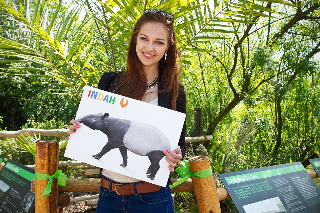 Czech Miss World Lucie Kovandová at World Tapir Day at Prague Zoo. Photo: Tomáš Adamec, Zoo Praha 