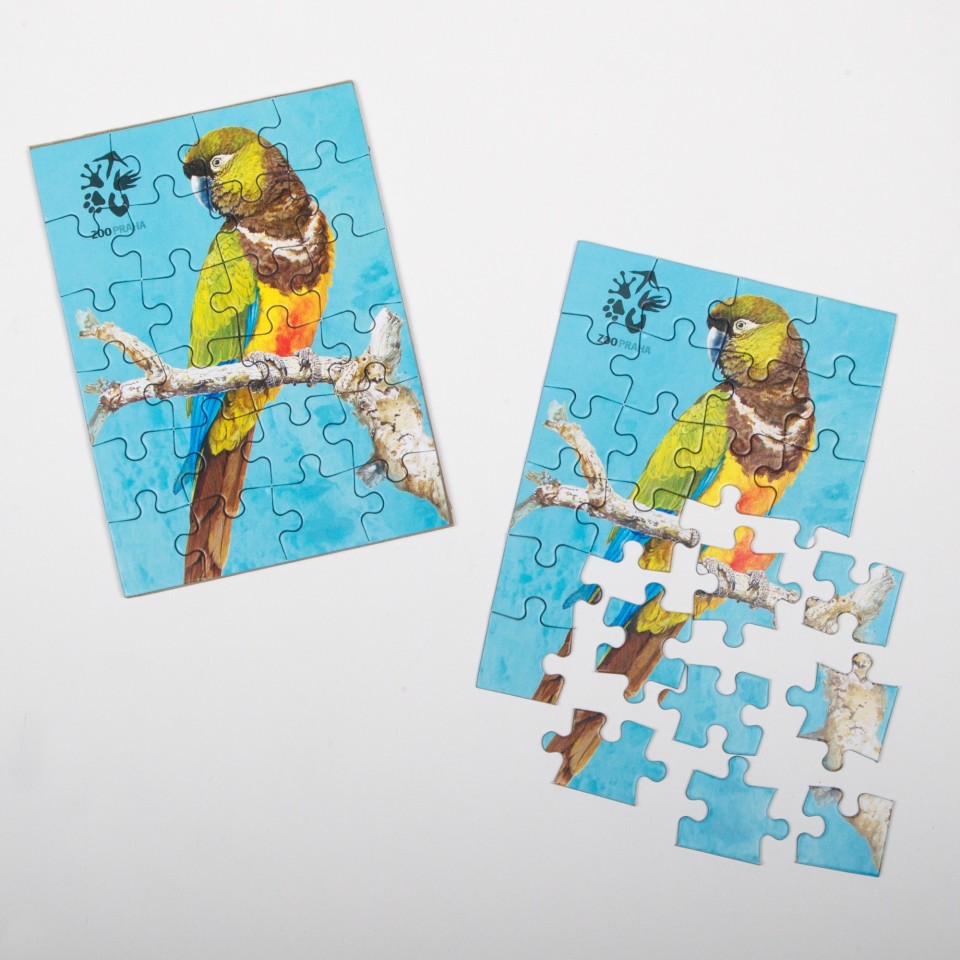 Puzzle s motivem papouška patagonského. Foto: Tereza Mrhálková, Zoo Praha