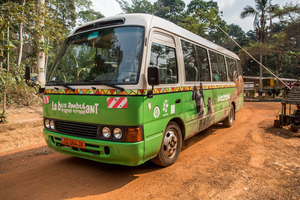 Toulavý autobus odjíždí z Mefou Primate Sanctuary. Děti čeká ještě prohlídka malé zoo v Yaoundé a poté daleká cesta domů. Ještě dlouho budou plné zážitků, Jocelynovi a pracovníkům Zoo Praha však hned začne práce s přípravou další jízdy Toulavého autobusu. Toto jejich úsilí jste podpořili již návštěvou Zoo Praha, ale budeme vděčni i za jakýkoli další příspěvek na sbírkové konto „Pomáháme jim přežít“, číslo účtu 43-6804660247/0100.