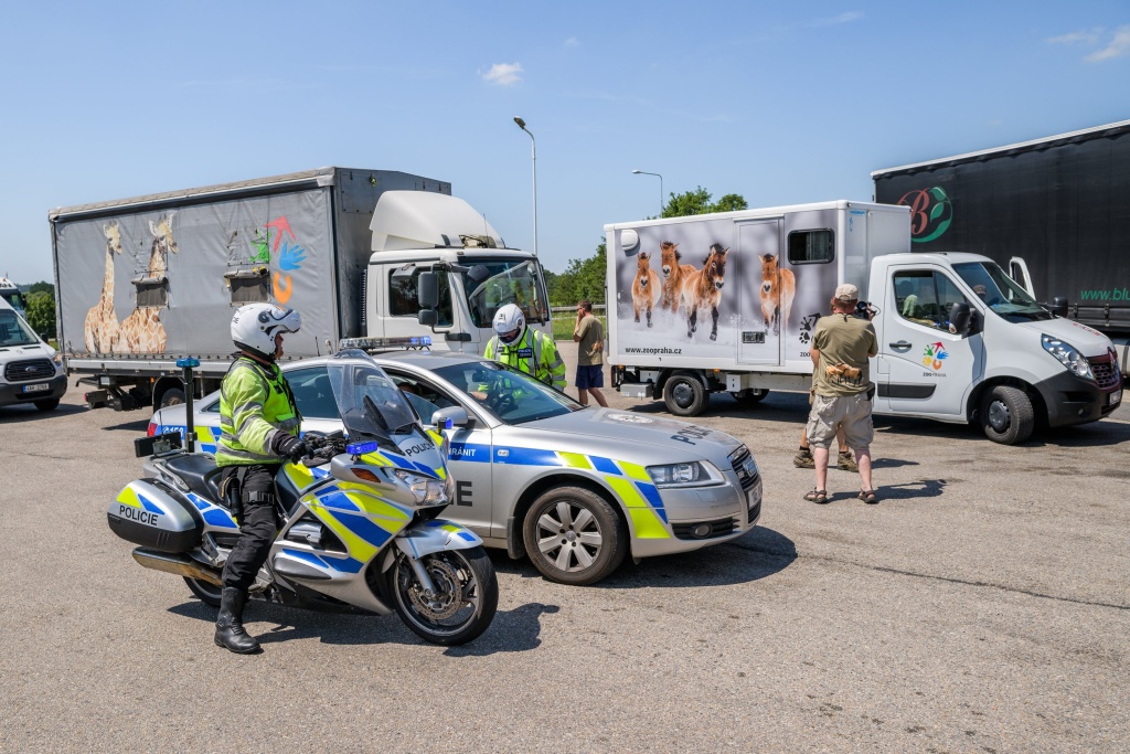 Kolona s auty se na letiště ve Kbelích přesouvá s policejním doprovodem. Foto: Petr Hamerník, Zoo Praha