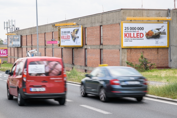 Unie českých a slovenských zoologických zahrad umístila u silnic vedoucích z pražského a bratislavského letiště do center těchto metropolí billboardy, které poukazují na masakry tažných ptáků ve Středomoří. Čtyři billboardy jsou v Praze na Evropské třídě. Foto: Petr Hamerník, Zoo Praha