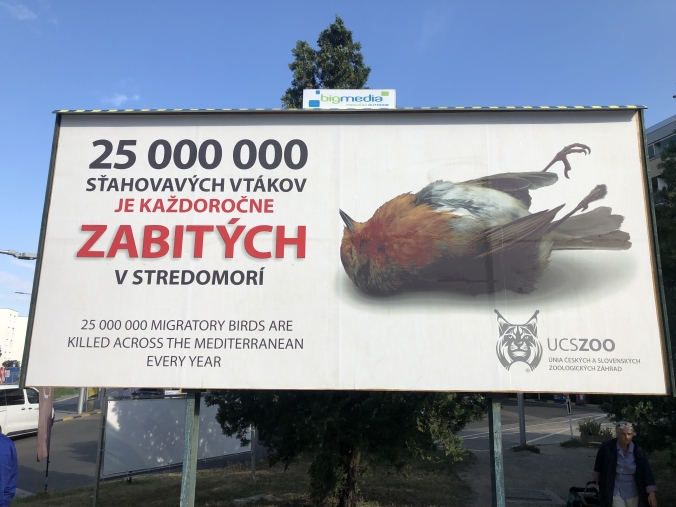 Pět billboardů upozorňujících na masakry tažných ptáků ve Středomoří je umístěno v Bratislavě: na Ivanské cestě, u výjezdu z letiště, na Bajkalské a Vanorské ulici a na Trnavském mýtě. Foto: Zoo Bratislava